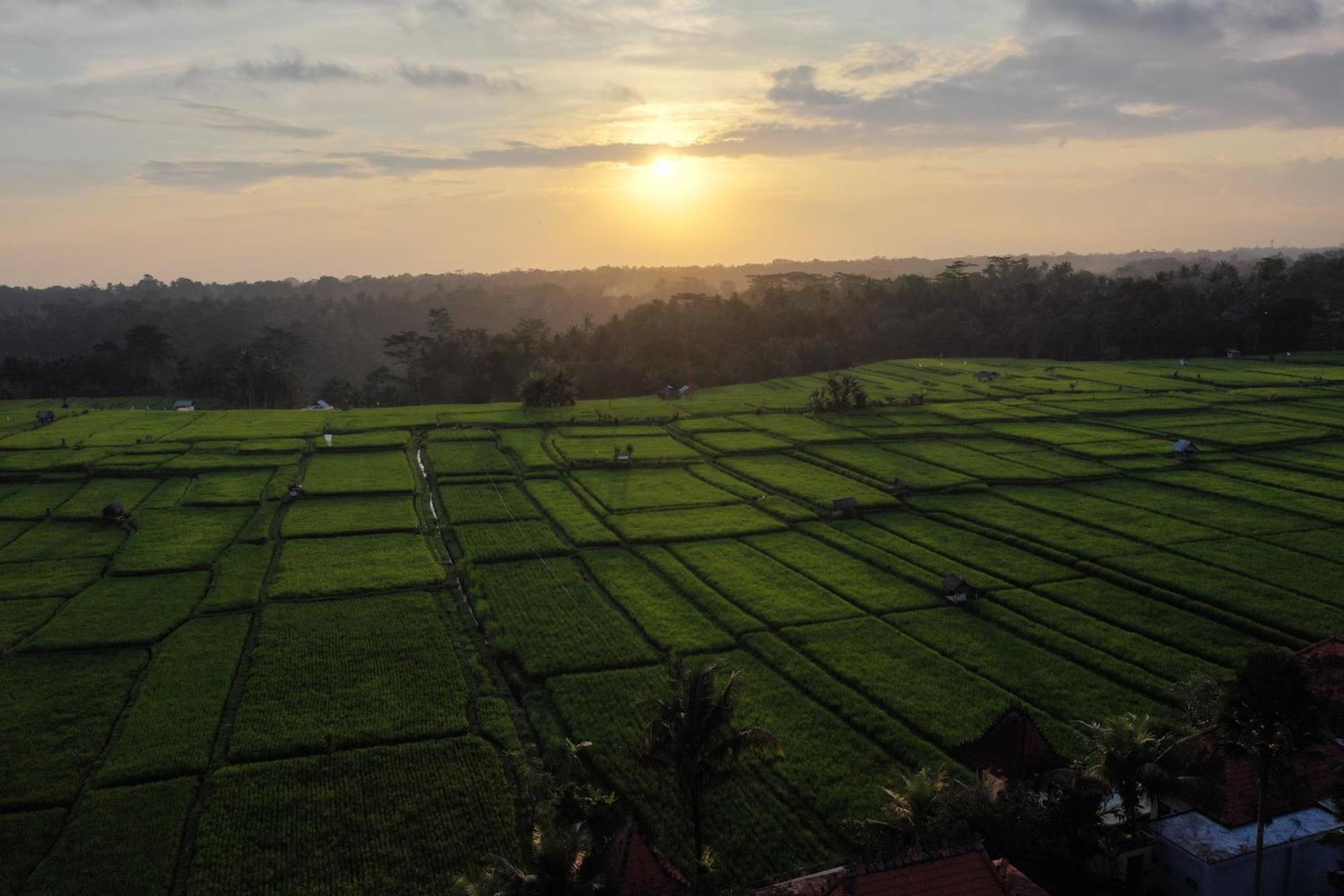 Villa Umah Sunset à Ubud Extérieur photo